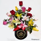  
Supremo Caja tambor de orquídeas y rosas
Arreglo de lujo con orquideas variadas y rosas multicolor