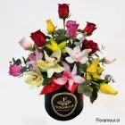  
Supremo Caja tambor de orquídeas y rosas
Arreglo de lujo con orquideas variadas y rosas multicolor