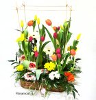 Bello y exclusivo arreglo de tulipanes y gerberas multicolor, montados en bandeja rústica de mimbre. (Disponible solo para Santiago de Chile)