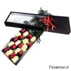 Sensacional caja de 20 Rosas importadas, colores intercalados. Disponible en Santiago de Chile.