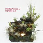 La Fuente electrificada tiene tres puntos de iluminacin leves y bomba de agua que genera tres graciosas cascadas. (Slo Santiago - Plantas pueden variar segn disponibilidad)
Producto exclusivo de Floramour by Fabio Reyes