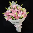 Elegante ramo atado con medio docena de Lilium, envuelto en papel decorativo (colores pueden variar según disponibilidad). Solo Santiago