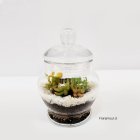 vidrio cristal en forma de azucarero con tapa 
medidas 20 x 14 cm