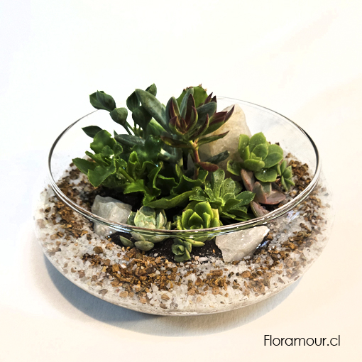 vidrio cristal en forma de jardinera con tapa 
medidas 10 x 24 cm