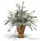 Ramo de Eucaliptus naturales. Follajes atados para poner en florero de casa u oficina.
La fragancia de los bosques de sur envuelve el ambiente creando una atm&oacute;sfera relajada y m&iacute;stica.