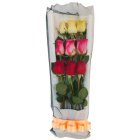 Ramo de 9 rosas multicolor en formacion rectangular envuelto en papeles decorativos.