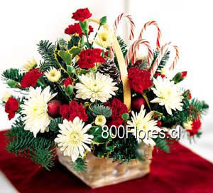 Florerï¿½as 800Flores Chile les desea Feliz Navidad y un prï¿½spero Aï¿½o Nuevo!!  