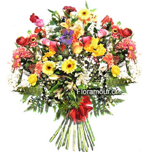 Disfrute del colorido de todas las flores finas de la estaciï¿½n