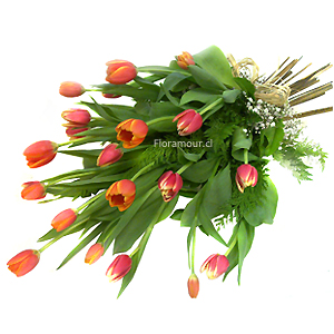  Ramo de Condolencias de Tulipanes (ovalo cojn)
