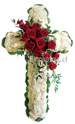 Seleccione color de rosas: