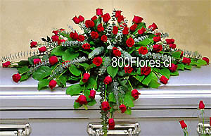  Cubre caja de Rosas de Luxe.