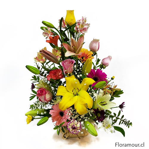 «¡Celebra la temporada con nuestro deslumbrante Arreglo Festivo Primaveral! Este exquisito arreglo floral está diseñado para iluminar cualquier ocasión con su elegancia y frescura. Presentando una combinación cautivadora de liliums amarillos, rosas rosadas, gerberas, altroemerias y follaje exuberante, cada flor ha sido seleccionada a mano para garantizar la máxima belleza y durabilidad.