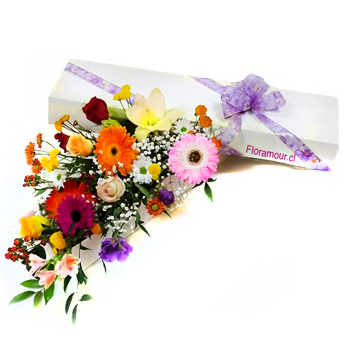 Caja de flores mixtas primaverales de estaciï¿½n, multicolor. Alegre y sorprendente. Rosas, Gerberas, margaritas, pompones, Paniculata y otras de complemento.
Servicio de envï¿½o a domicilio en todas las comunas de  Santiago