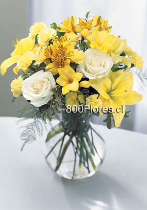 Send this flowers to Canada 
Envíe estas flores a Canad  