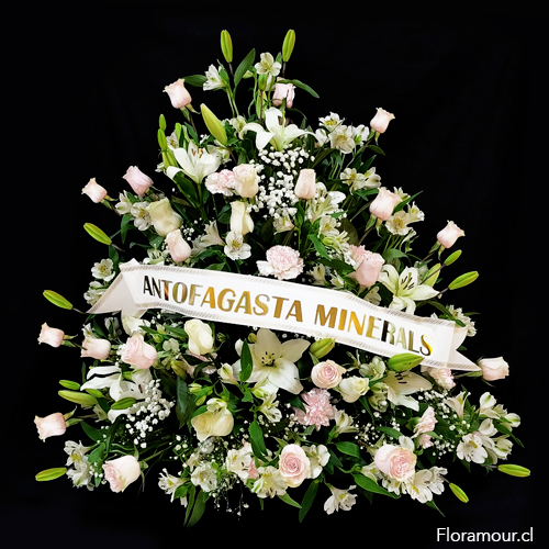 Arreglo Floral ceremonial de una sola cara. Decoración del recinto o pie de urna. Arreglo de una sola cara, alto, con rosas liliums y flores de complemento. Cinta banda de letras doradas impresas. Oportuno para condolencias familiares o institucionales. recuerde escribir el texto de la cinta al ordenar. Colorido del arreglo floral blanco total o blanco pastel