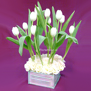 12 Tulipanes holandeses en base caja metálica con agrupamiento floral al pie. (Tono de tulipanes puede variar según disponibilidad de importación) Arreglo minimalista exclusivo