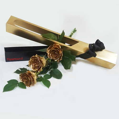 Elegante caja de fantasía de tres Rosas Naturales con tratamiento dorado. Exclusivo Floramour. Solo Santiago de Chile