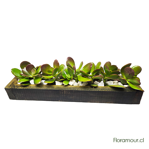 Jardinera pequeña de tabla rústica con jades naturales. Decoración rústica para casa interior, terraza u oficina. Fácil mantención y muy larga vida. (35 x 8 x 10 cm.)