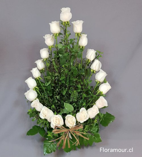 Formaci�n de rosas ojival.
S�lo Santiago
Seleccione colorido