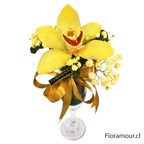 Fino presente con exclusiva orquidea natural. Flor importada deluxe en copa de vidrio (Especie y tono podría variar según importación)