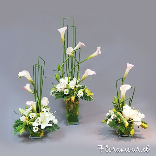 Dise�os de vanguardia monocrom�ticos para oficinas modernas. Consulte por mantenci�n de arreglos florales para oficina
