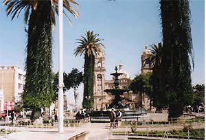 Send flower tacna, Enviar flores a tacna per