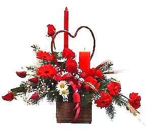 Celebre esta navidad con aire romántico y elegante. Florerías Floramour Chile les desea Feliz Navidad y un próspero Año Nuevo!!