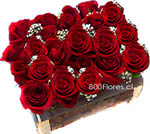 Tierno arreglo de rosas compacto montado a nivel en una caja r�stica de le�a. S�per Durable !!
(Disp.S�lo Santiago de Chile)