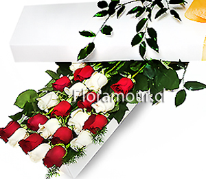 Sensacional caja de 20 Rosas importadas, colores intercalados. Disponible en Santiago de Chile.