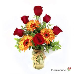 Florero simple con media docena de rosas y gerberas de cultivo.
Seleccione color de rosas.