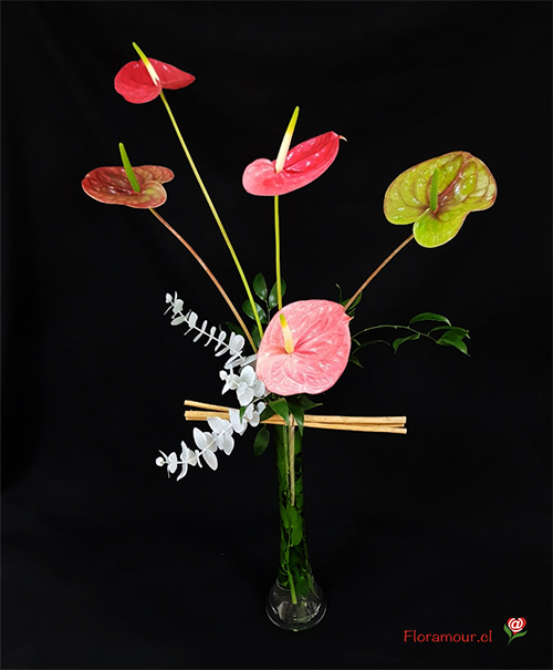 Selección de anturiums naturales en florero vertical de vidrio. Larga duración de la flor cortada, tonos podrían variar según disponibilidad de stock . Exclusivo sólo en Santiago de Chile.
