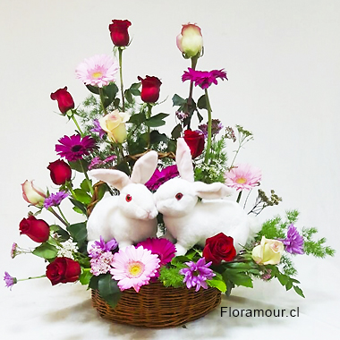 Encantadora canasta con dos conejos tamaño natural canastón jardín de rosas, gerberas y flores de complemento.
Exclusivo dentro de SANTIAGO DE CHILE