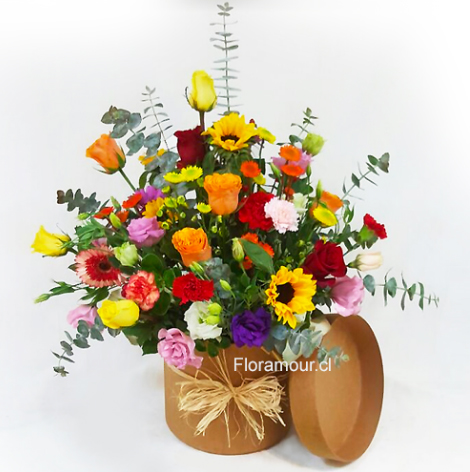 Gran caja tambor ecológica, color natural con flores mixtas coloridas de estación.
Disponible sólo en Santiago de Chile. 60 cms. de altura aprox.  (Flores podrían variar de acuerdo a disponibilidad de temporada)