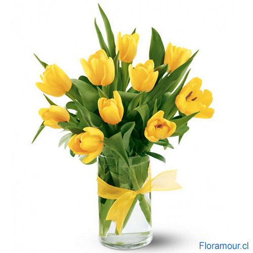 Delicado florero con 12 tulipanes amarillos seleccionados
Sólo Santiago.