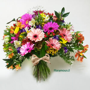 Sensacional ramo atado con variadas flores mixtas de temporada y gerberas destacadasSolo Santiago. 